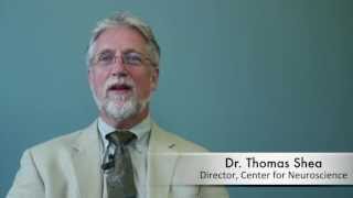 Cognitive Enhancer Formulation & Memory Supplement Explained by Dr. Thomas Shea