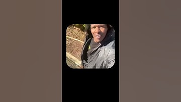 How does the brain remember what I forgot, but not what I forgot?