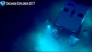 NOAA Dec 20 - Breathtaking bubbles and ice worms!