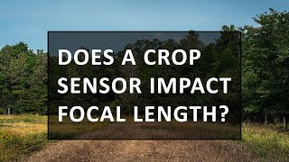 Crop Sensor and Focal Length