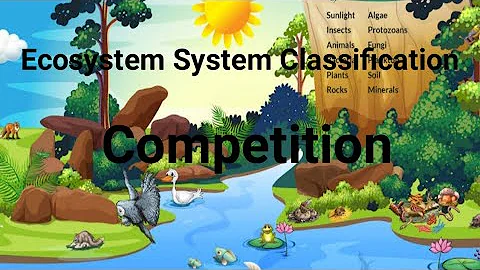 Classification of ecosystem||competition among organisms||