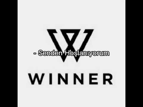 winner really really Türkçe çeviri