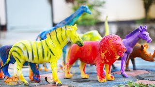 ระบายสีตุ๊กตาสัตว์ป่าของเล่น - Painting Wild Animal Toys