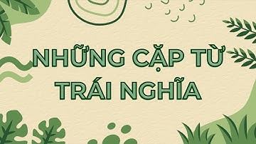 [Tiếng Trung] Những cặp từ trái nghĩa ||  反义词