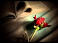 دخون ماعاد تسال 2012 كامله  4