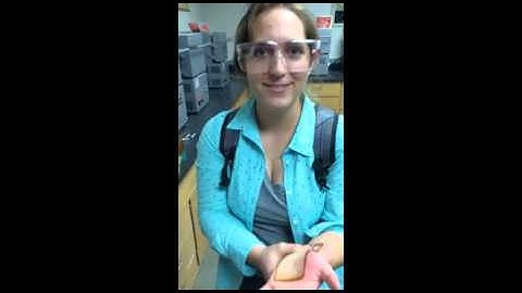 Aggie Challenge Video 18