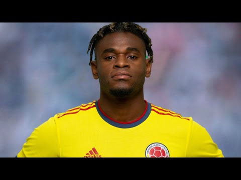 Duvan Zapata ● Best Goals & Skills 🇨🇴