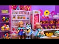 Bluey S Candy Store Elsa Anna Toddlers Chocolate Lollipop Mints Bubble Gum Jelly Beans