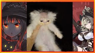 Shitposting Copilarion V36
