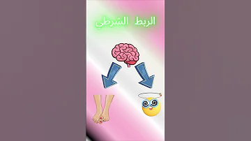 ليش في رجال بتحب أقدام النساء ثقافة معلومات كوميديات كوميديا علم النفس علم 