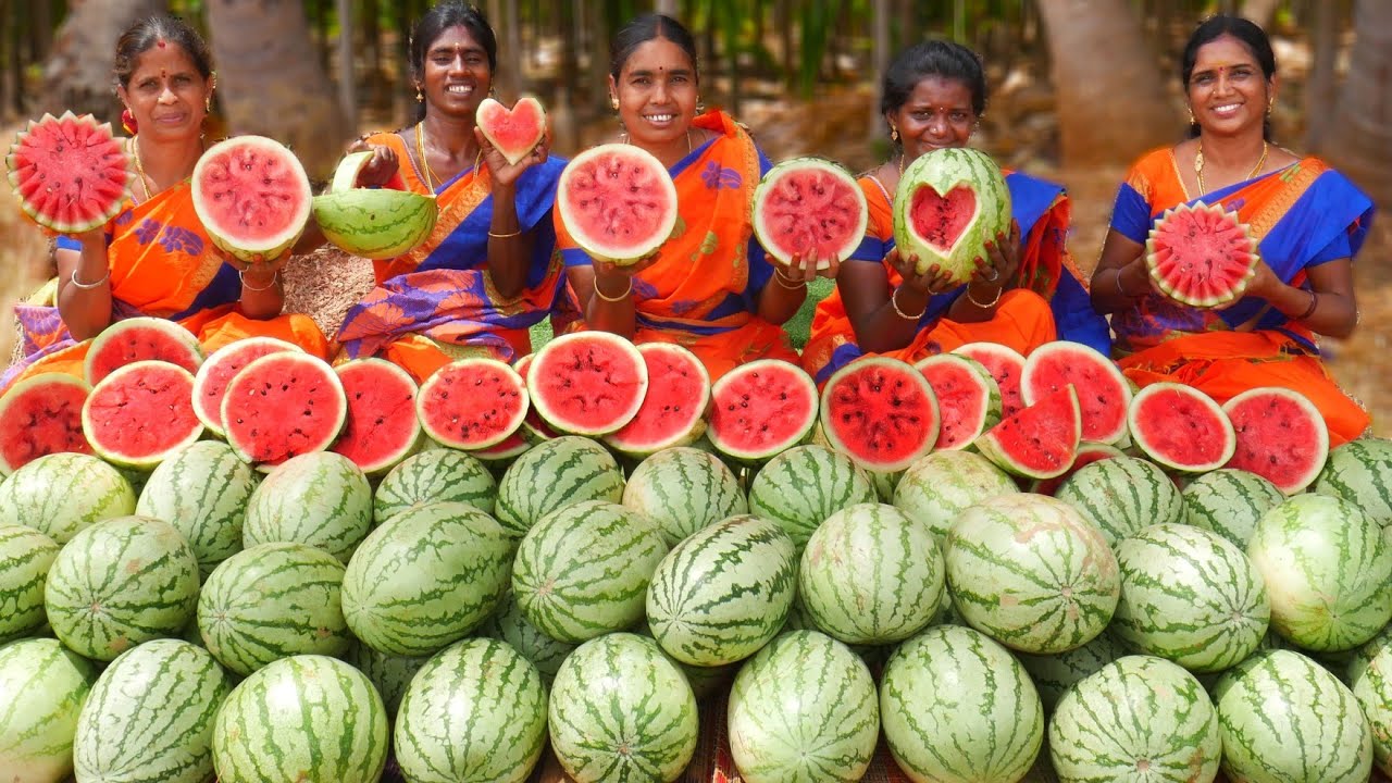 100kg WATERMELON |watermelon Juice Making | Watermelon Experiment | Farm fresh Watermelon Juice