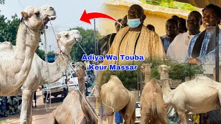 Magal Touba 2023 Diebalé Adiya Wa Dahira Touba Keur Massar Thi Cheikh Moustapha Fall Falilou