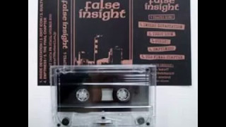 FALSE INSIGHT - IDIOT ICON