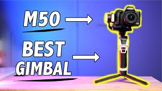 The Best Gimbal for the Canon M50 and M50 Mark II?