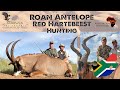 Hunt Plaingame in South Africa with Mabula Pro Safaris and African Sun Productions. Kalahari.