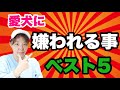 愛犬に嫌われることベスト５！ 知らず知らずにやっているかも⁉