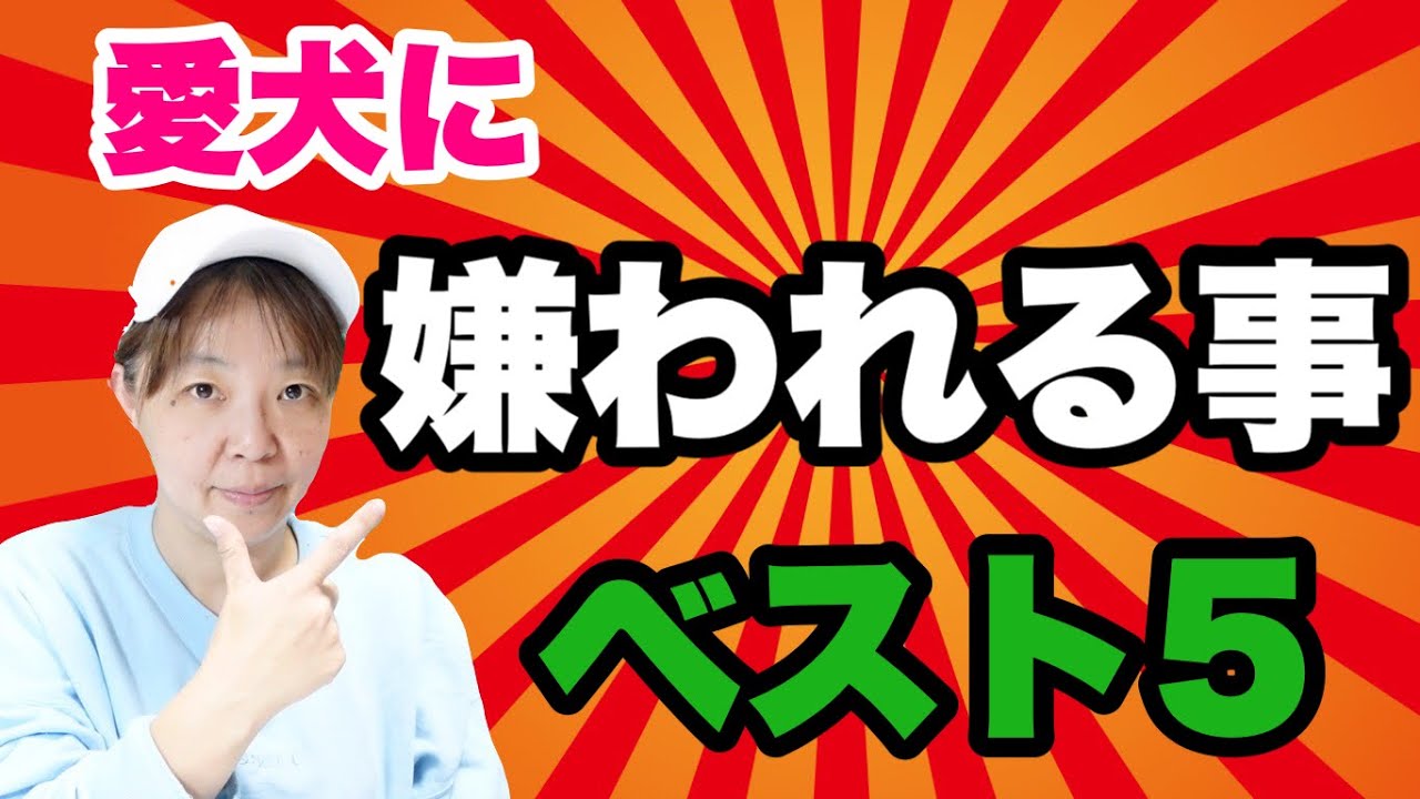 愛犬に嫌われることベスト５！ 知らず知らずにやっているかも⁉