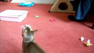 DSCF0370.AVI
