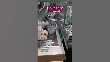 جزائريات في مصر 