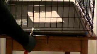Potty Training Puppy Kennel For Apartment, Condo, Townhouse, Home. Easy How To Video "en Espanol".