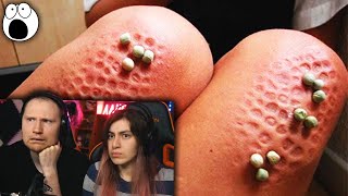 картинка: Очень Странные Школьные Правила Со Всего Мира | РЕАКЦИЯ на  WTFакт