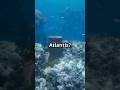"The Lost City of Atlantis", is it real? #oldstorytellerr #shorts #atlantis #history #facts #story