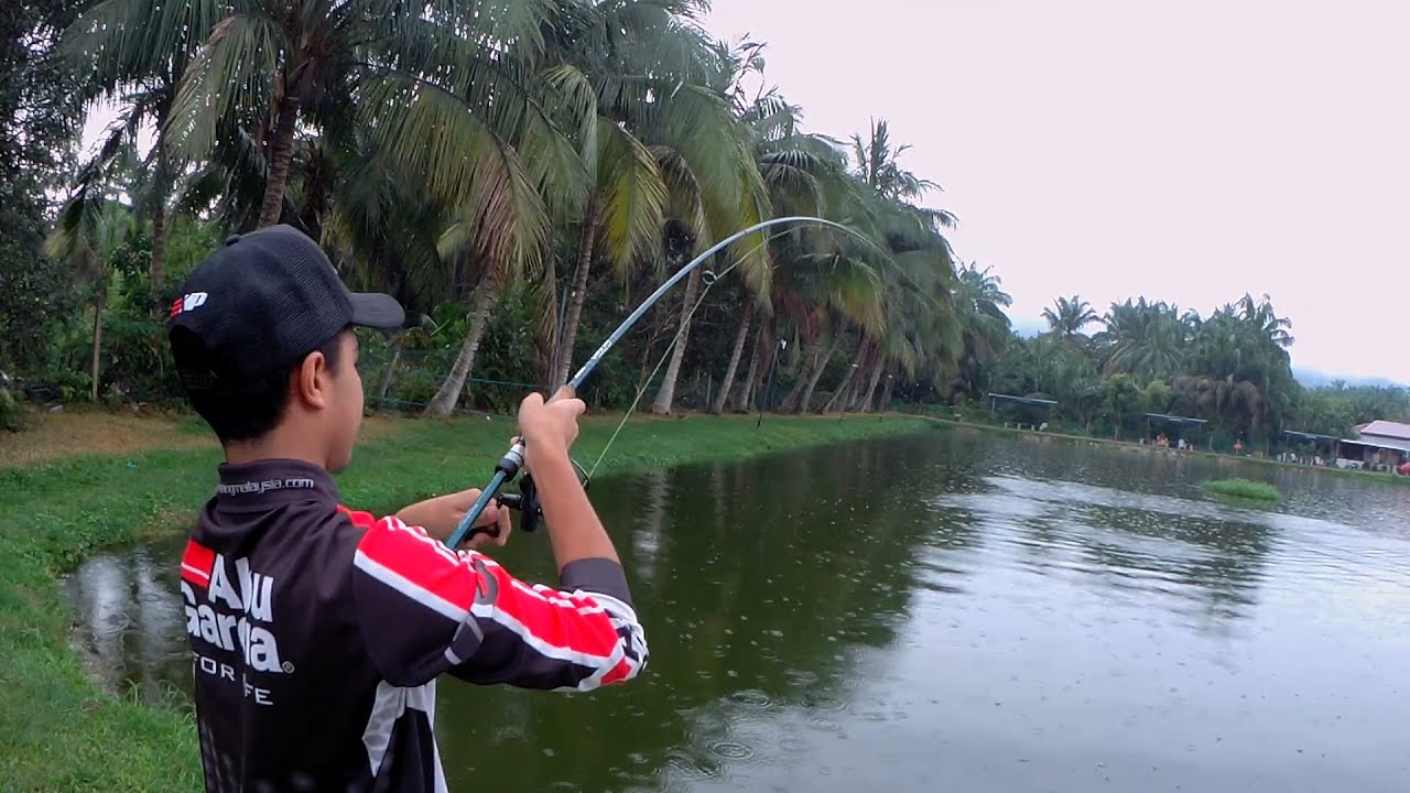 Layan patin Kolam Rozali | pallet E8 + strawberry greenbait
