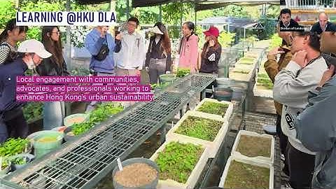 HKU MLA & PDLA Info Session 2025