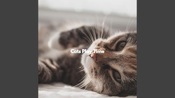 Cool Backdrops for Jazzy Weekends