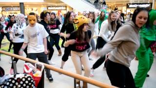 Flash mob ice age 4 hiphop house