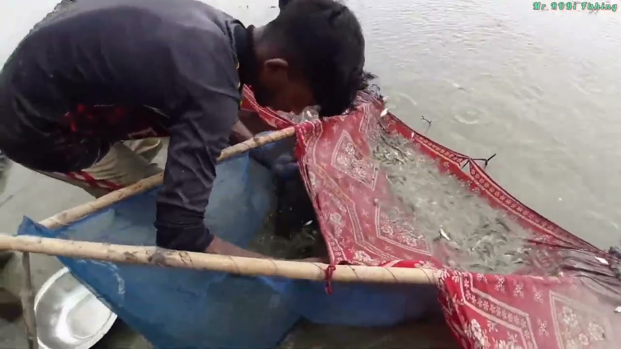 Beautiful nature fishing - village fishing video - best fishing - Mr Robi fishing