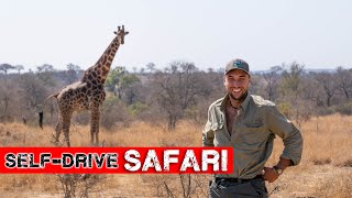 How to Self-Drive a Safari in South Africa | Kruger National Park