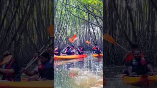 Saligrama Mangrove Forest 💚 | The Best Place to Experience Kayaking ✨