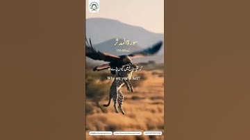 "Surah Al-Muddathir | Powerful Quran Reminder | سورة المدثر | Wake Up Call for Believers"