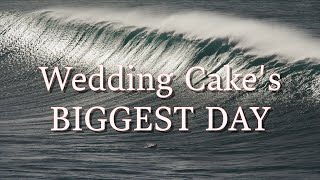 Wedding Cake's BIGGEST DAY