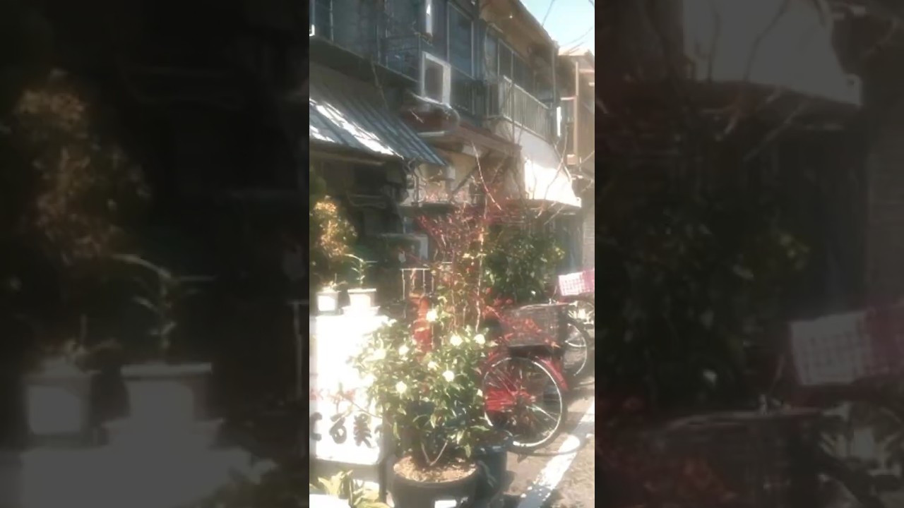 sorry cnm #felix #straykids #stay #keşfet #fypviralシ