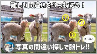 『間違い探し』写真で脳トレ！ #1346 「羊の放牧風景」「リングのブーケ」「廃墟の炭鉱」【高難易度】｜Find the difference game in photos screenshot 4