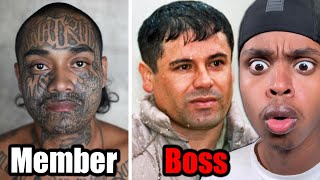 Your Life As Every CARTEL Rank..