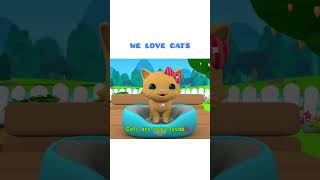 We Love Cats | Omar &amp; Hana English