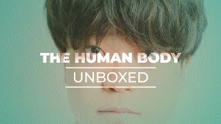 Interesting Facts About Human Body : 🧠 Unveiling Human Mysteries: