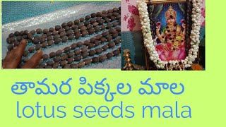 తామర పిక్కల మాల// lotus seeds mala sold in amazon