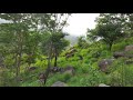 Yelagiri Hills Inside ...( CLICK 1080P )