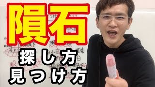 隕石ハンティングの動画