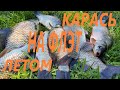 Ловля карася на флэт фидер/Рыбалка в Киевской области/Видеоотчет июль 2020