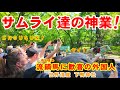 サムライ達の神業！凄すぎる馬術に外国人観光客歓喜【葵祭始まる世界遺産下鴨神社で騎射流鏑馬神事】