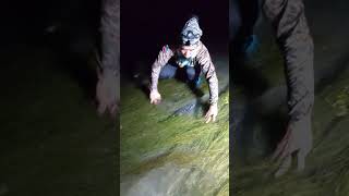 Huli Ang Malaking Karpa