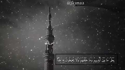 تلاوه خاشعه// وخشعت الاصوات للرحمن فلا تسمع ألا همسا