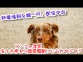 アンジャ渡部、佐々木希との熱愛騒動いじられタジタジ