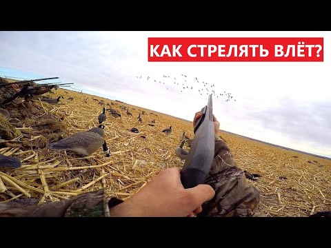 💥 УПРЕЖДЕНИЕ ПРИ