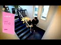 무브먼트 3세대 MBC 프로그램 ID 나 혼자 산다 26 01 13 화 녹화 